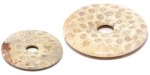 Cabochon fossile Koralle