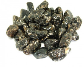 Turritellaachat - Trommelsteine, 250 Gramm, 10 - 30 mm